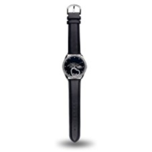 Baltimore Ravens watch